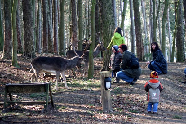 NUP Natur- und Umweltpark Gstrow